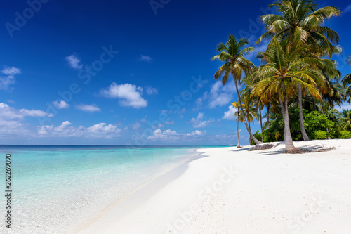 Fototapeta Naklejka Na Ścianę i Meble -  Exotischer Strand mit Palmen, feinem Sand und türkisem Ozean auf den Malediven