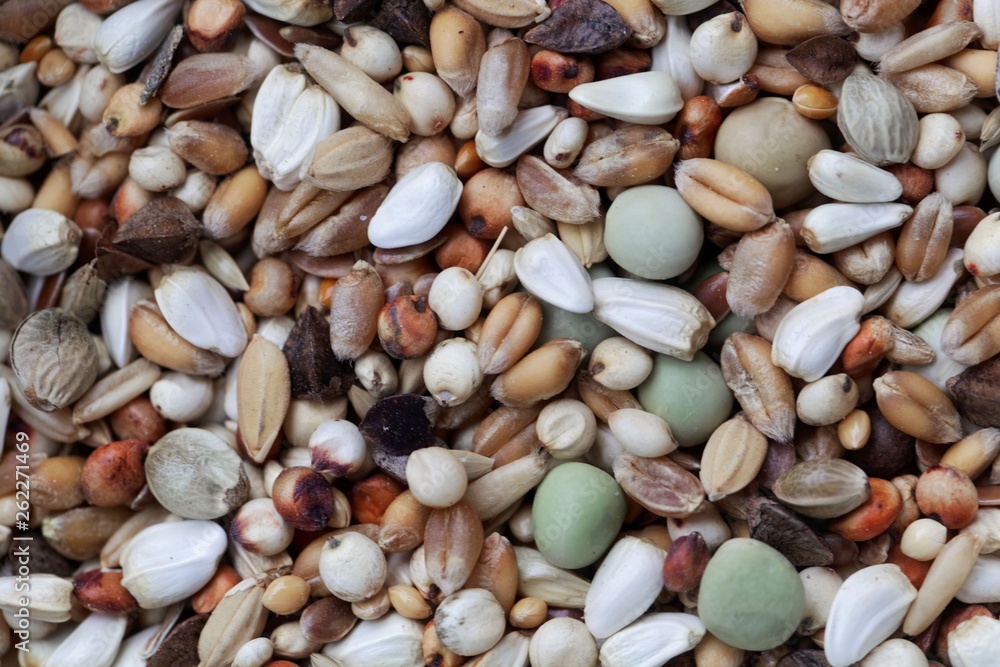 Mixture of grains and seeds