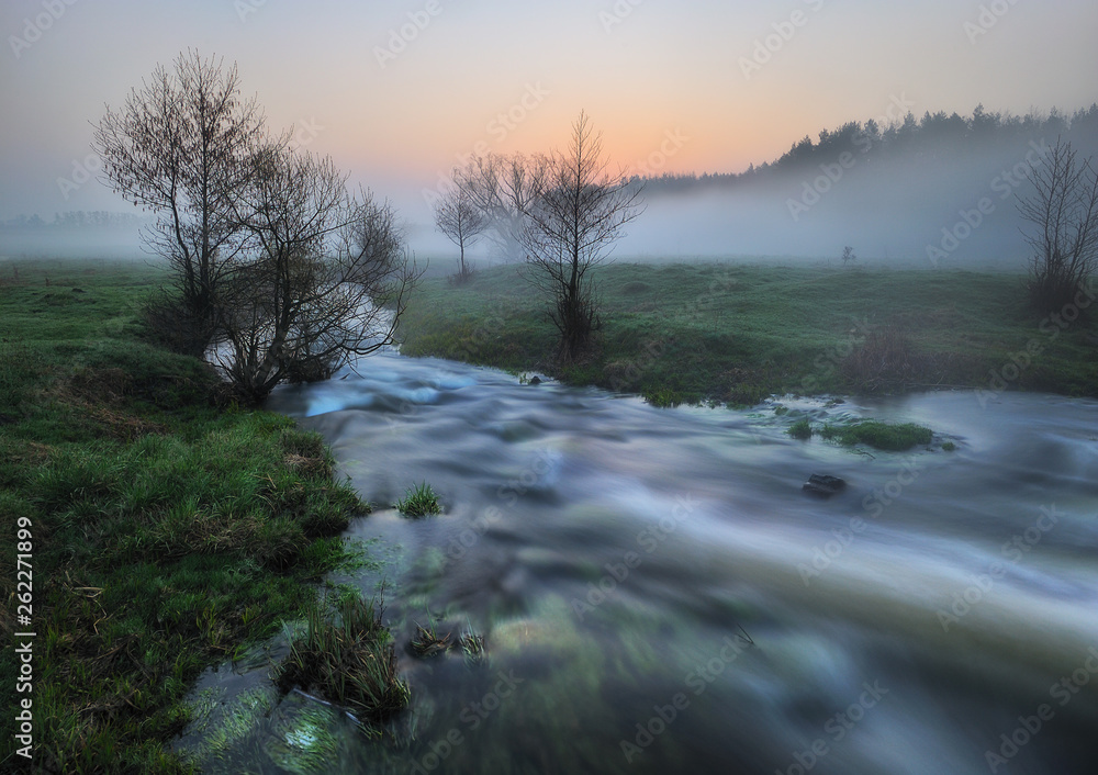 spring morning. foggy sunrise in the river valley. picturesque morning