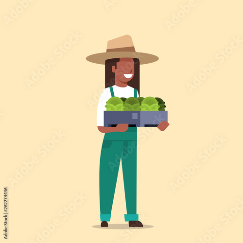 happy african american farmer holding box with green fresh lettuce cabbage woman harvesting vegetables agricultural worker in uniform eco farming concept flat full length