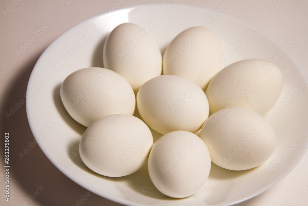 eggs in bowl isolated on white eggs in bowl isolated on white
