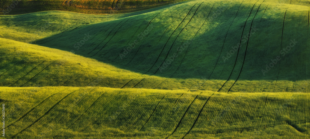 hilly field. picturesque hills. abstract spring field hilly field. picturesque hills. abstract spring field