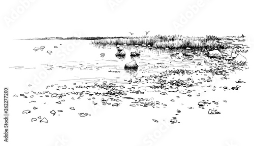 Seascape drawing. Hand drawn coast, stones, water 