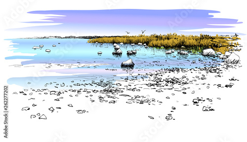 Seascape drawing. Hand drawn coast, stones, water 