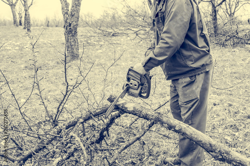 Worker using chain saw and cutting tree branches.