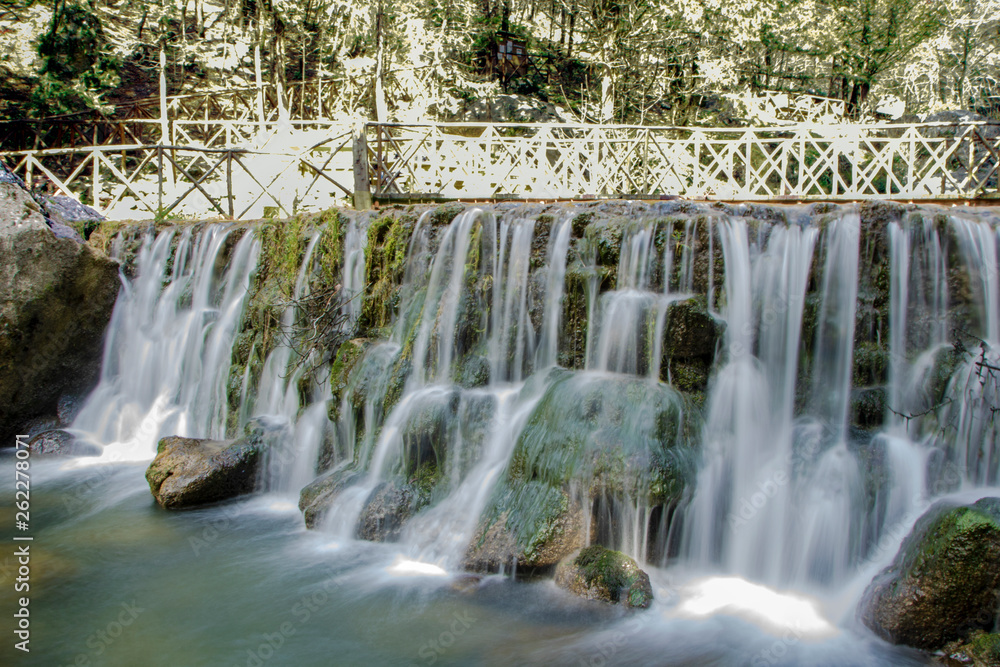 Obraz premium Fontegreca