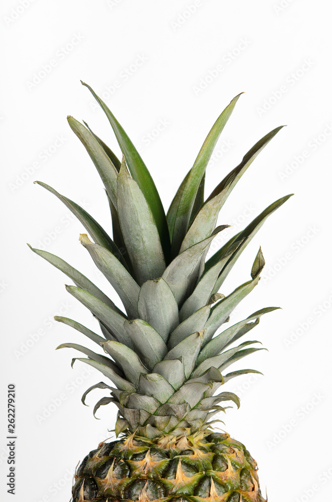 Ripe pineapple with green leaves on a white background. Summer refreshing tropical dietary healthy fruit. Minimal composition. Ripe pineapple with green leaves on a white background. Summer refreshing tropical dietary healthy fruit. Minimal composition.