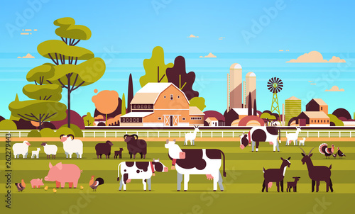 farm animals grazing cow goat pig turkey sheep chicken different domestic animals breeding farming concept flat farmland barn countryside landscape flat horizontal