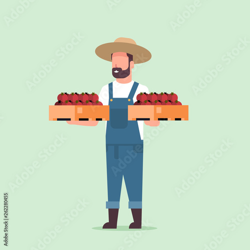 male farmer holding boxes with red ripe tomatoes man harvesting vegetables agricultural worker eco farming concept flat full length