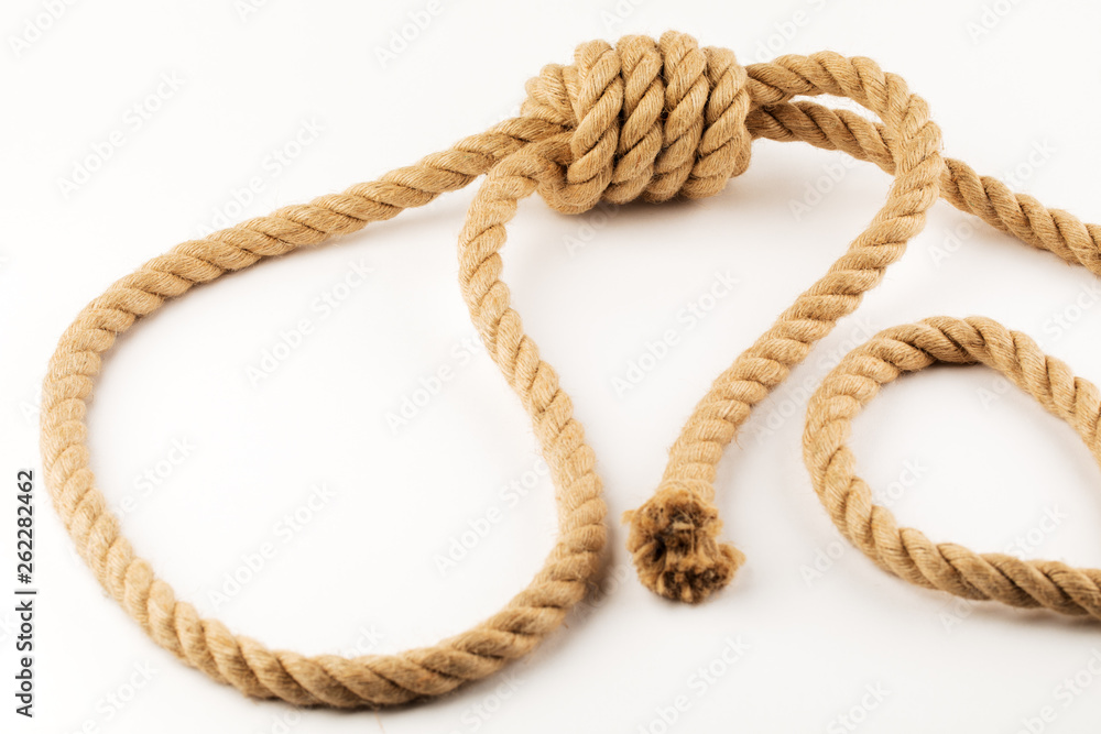 The gallows, a rope for hanging on a white background
