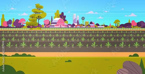 rows young freshly germinated plants vegetable plantation agriculture and farming concept farmland field countryside landscape background flat horizontal