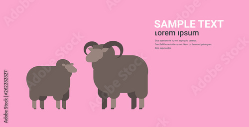 cute black sheep and ram wool farm domestic animals breeding concept flat horizontal copy space