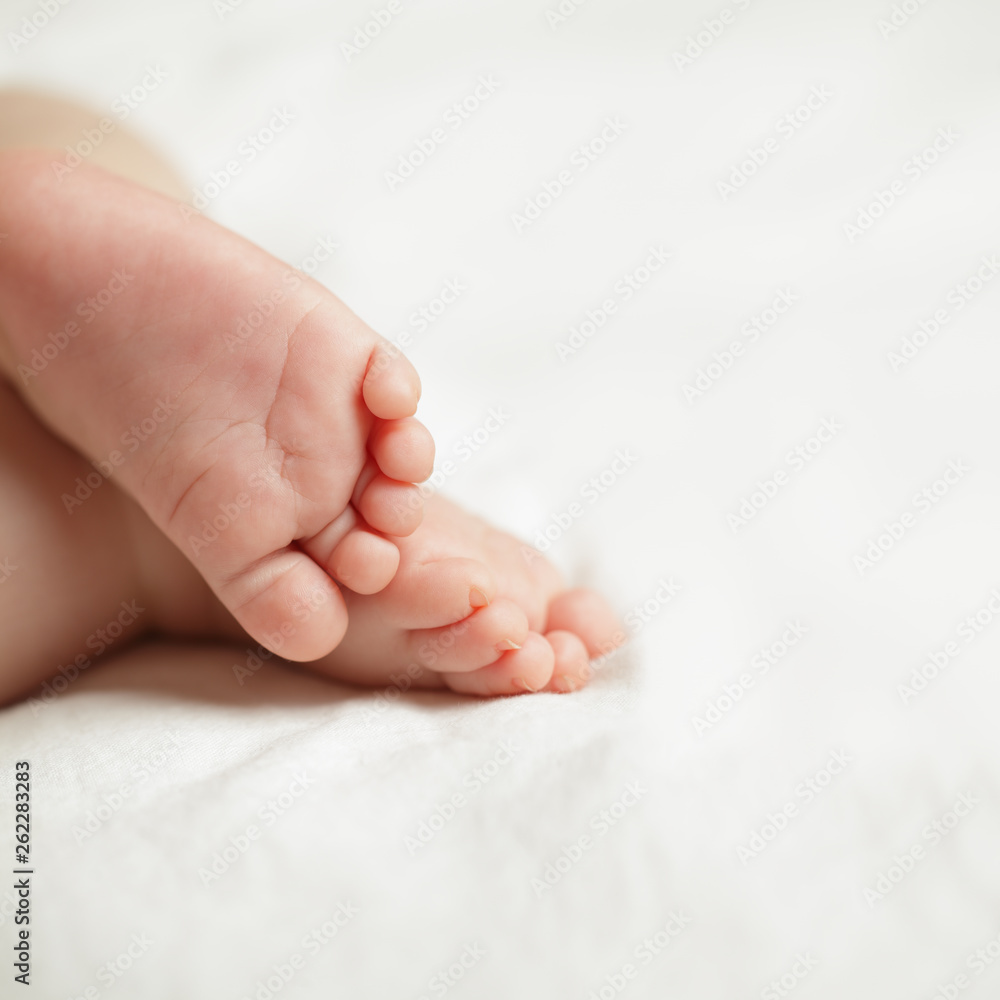 Baby feet on white background with copy space Baby feet on white background with copy space