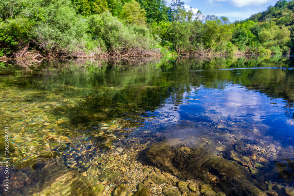 Landscape with river and fish unredwater