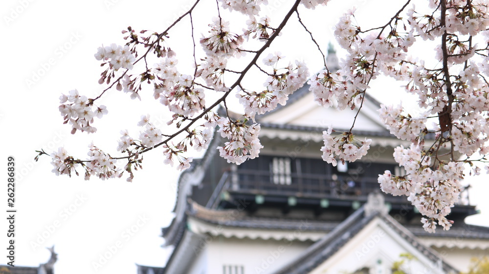 桜越しの春の岡崎城 桜越しの春の岡崎城