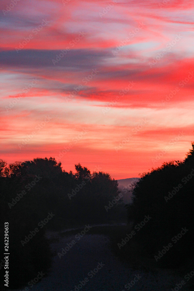 Fototapeta premium Rosa Morgen