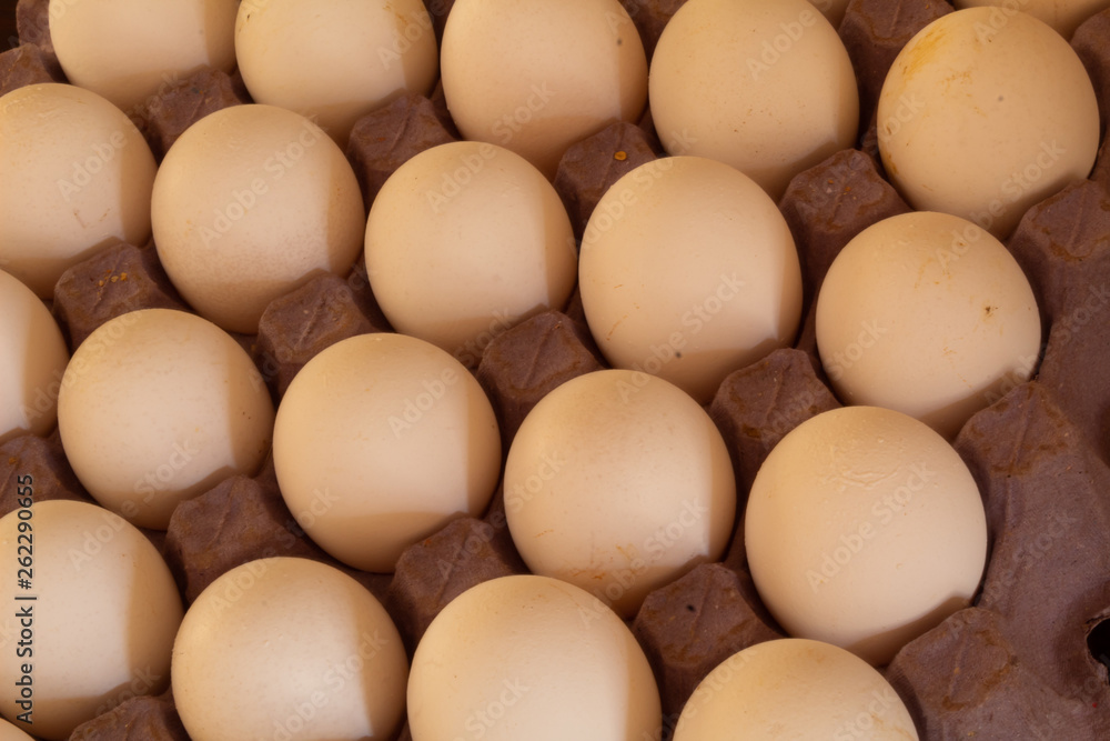 Many white chicken eggs on cardboard and with shadows Many white chicken eggs on cardboard and with shadows