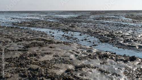 Im Watt vor der Insel Neuwerk