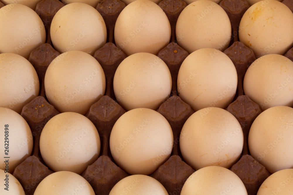 Many white chicken eggs on cardboard and with shadows Many white chicken eggs on cardboard and with shadows