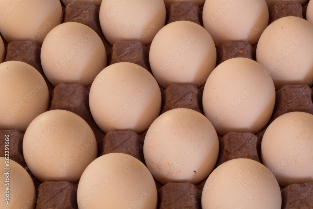 Many white chicken eggs on cardboard and with shadows Many white chicken eggs on cardboard and with shadows