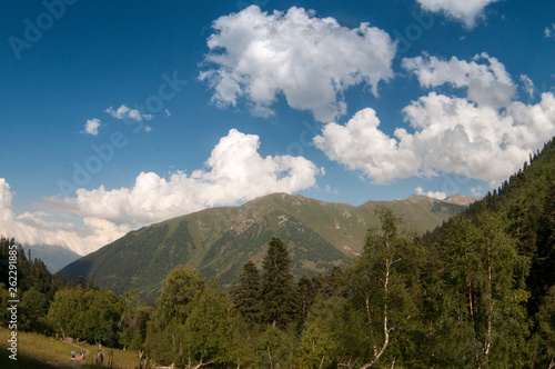 This is sunny valley in Caucasus mountains in summer