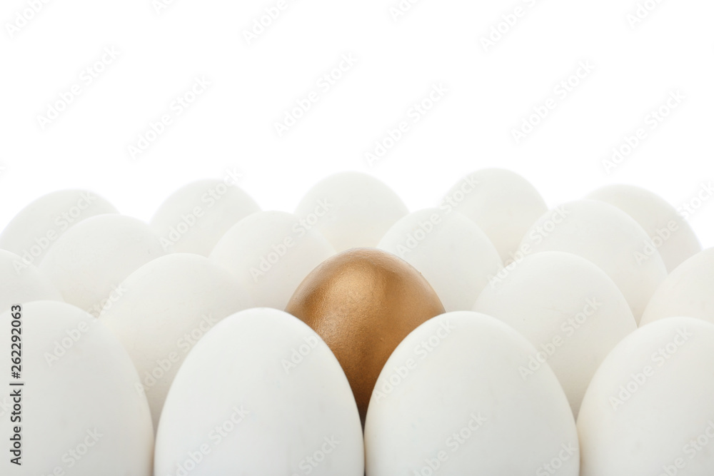 Golden egg among ordinary ones on white background, closeup