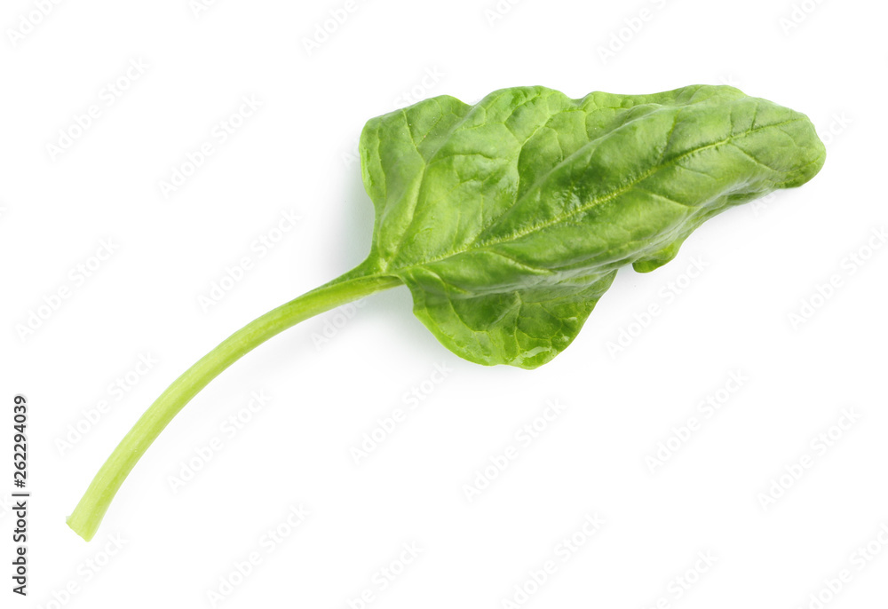 Fresh leaf of spinach isolated on white, top view Fresh leaf of spinach isolated on white, top view