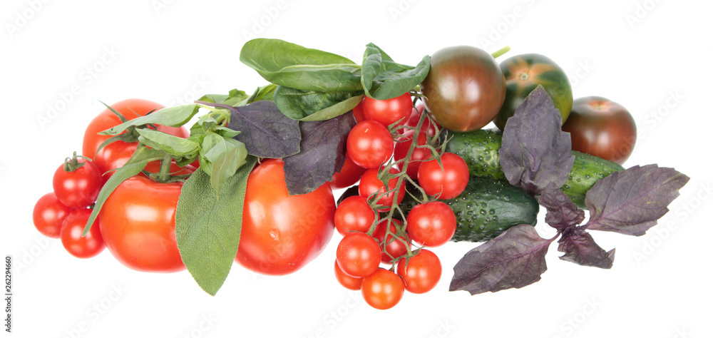 Fresh different red tomatoes, green cucumbers, purple and green basil and sage leaves isolated on white background. Ingredients for vegetable salad Fresh different red tomatoes, green cucumbers, purple and green basil and sage leaves isolated on white background. Ingredients for vegetable salad
