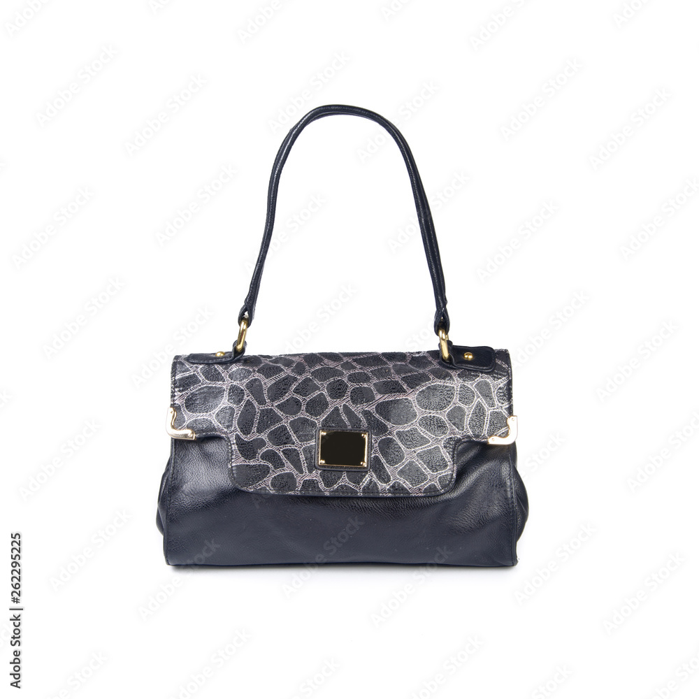bag or women bag with concept on background.