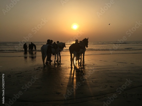 Horses at beach in evening