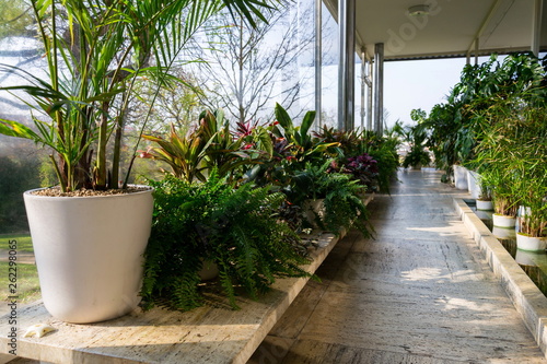 Various green plants in winter garden modern atrium  sunny spring day  clear blue sky background