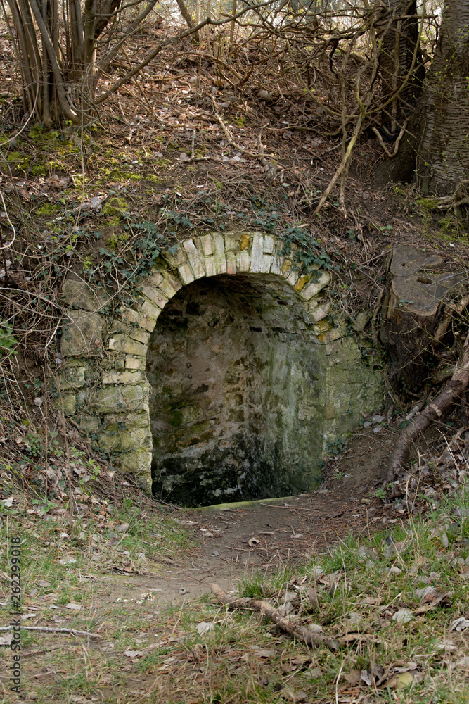 Fototapeta premium Alter gemauerter Bogen in der Natur