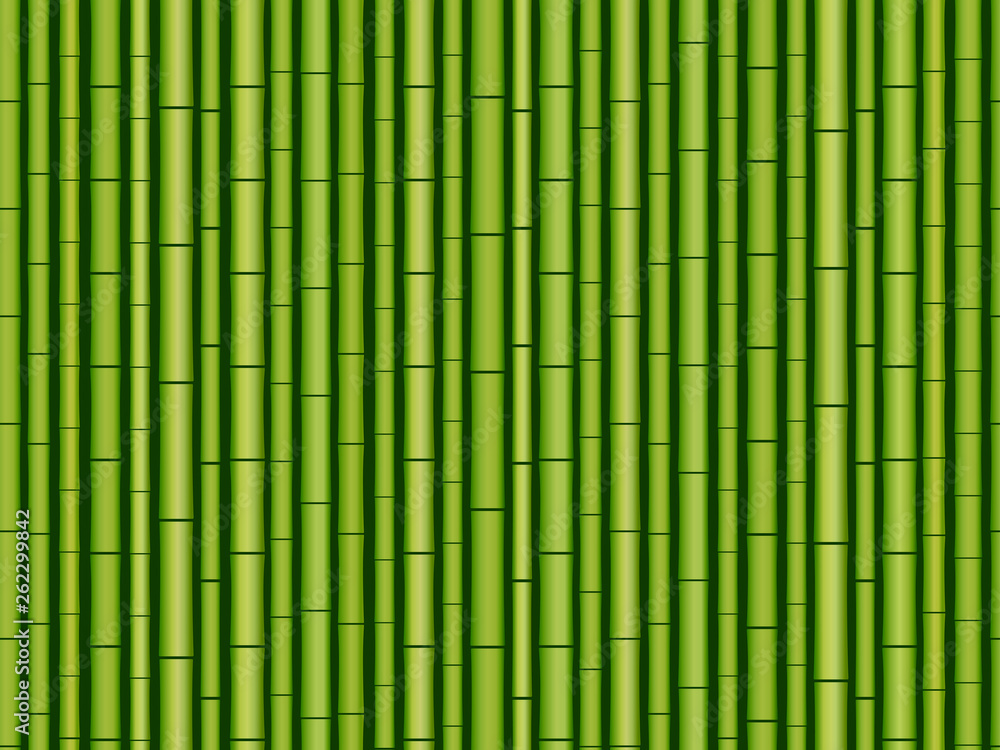 Fototapeta Poziomy bambus bezszwowe tło. Ilustracji wektorowych. Egzotyczny wzór zielony bambus z gałęzi i liści