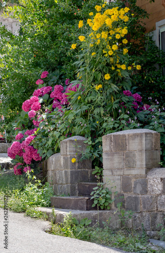 Flowers grow at the entrance of the building