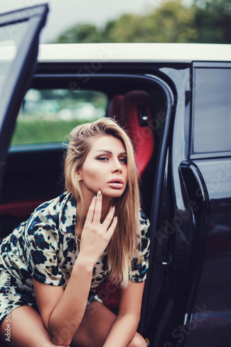 beautiful stylish girl in dress posing in car © jozzeppe777