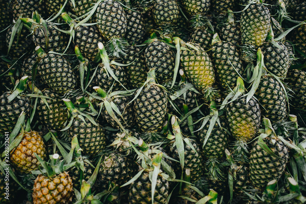 pineapple background pineapple background