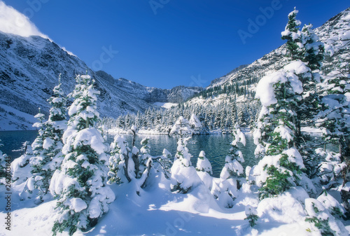 Fresh snow covers trees around Bertha Lake after late autumn snowfall, Waterton National Park, Canada