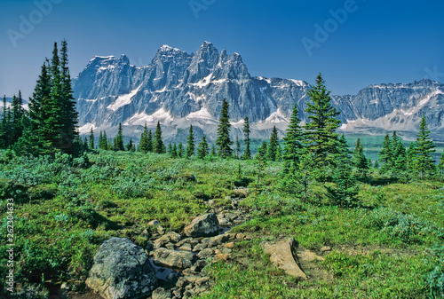 Forest meadow in Tonquin Valley and The Ramparts, Jasper National Park, Canada