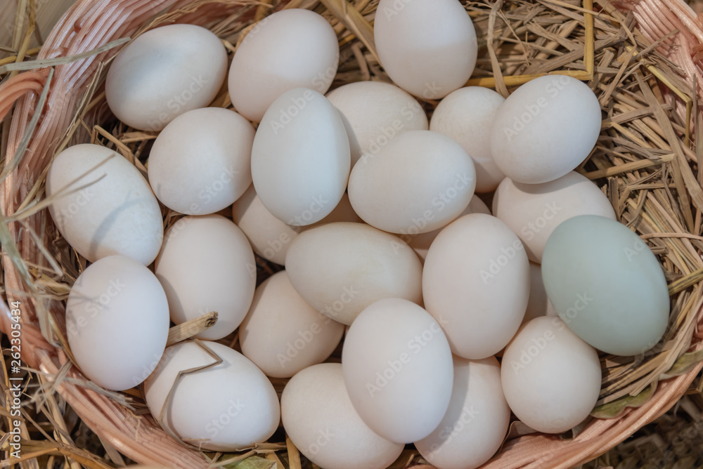 Fresh organic duck eggs, white shells in a basket, to clean food concept. Fresh organic duck eggs, white shells in a basket, to clean food concept.
