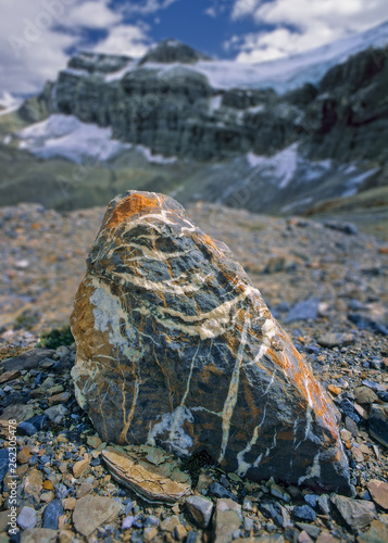 Striated Rock in glacial plain with Crowfoot Mountain beyond  Banff National Park  Canada