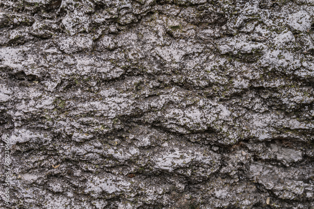 Natural stone textured background. Close up. Natural stone textured background. Close up.