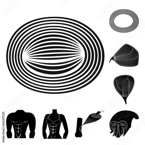 Isolated object of human and body  sign. Collection of human and cells stock vector illustration.