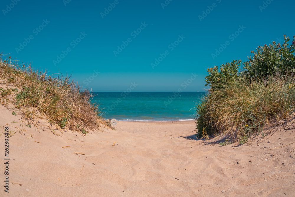 Way to the beach. Sand and bushes. turquoise sea water. Valencia, Spain. Way to the beach. Sand and bushes. turquoise sea water. Valencia, Spain.