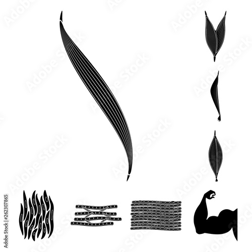 Vector design of human and body  symbol. Set of human and cells vector icon for stock.