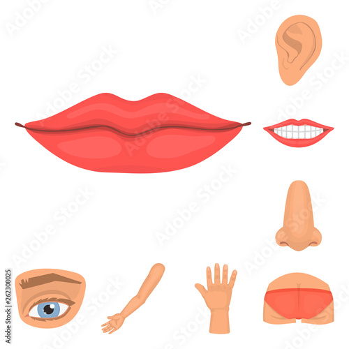 Vector design of body and part symbol. Collection of body and anatomy stock vector illustration.