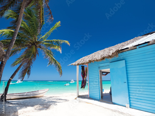 Typical caribbean house near Atlantic ocean beach with coconut palm tree