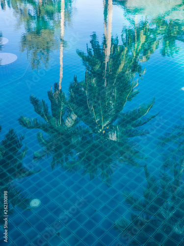 reflection palm trees in the blue pool.Koh Phangan. Thailand.