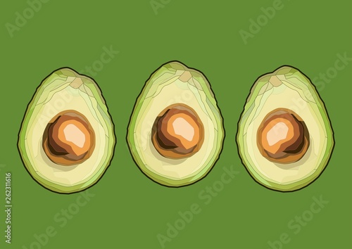 three avocados realistic vector art
