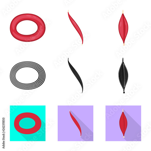 Vector illustration of fiber and muscular symbol. Collection of fiber and body  stock symbol for web.