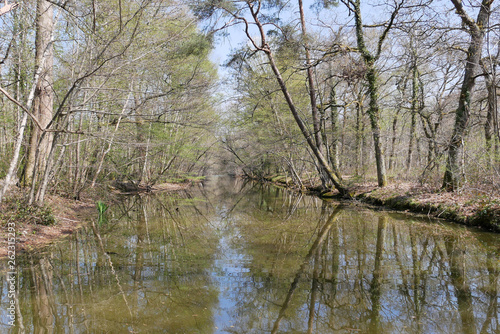 Rivière, Sologne, France